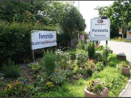 Foto: Forestella